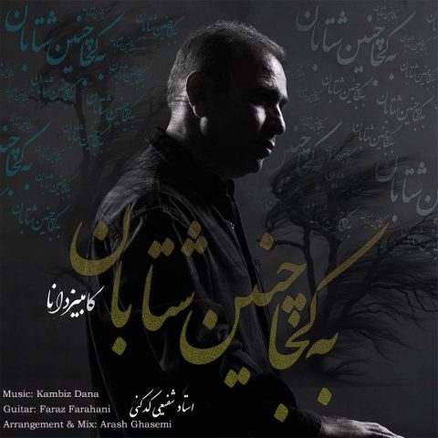 دانلود آهنگ کامبیز دانا به کجا چنین شتابان